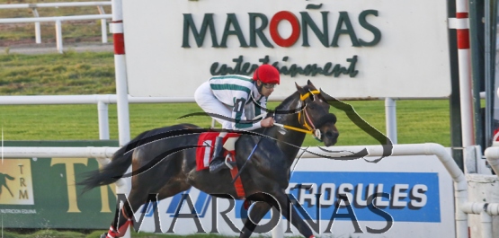 Viernes 4 de agosto de 2017 - Hipódromo Nacional de Maroñas