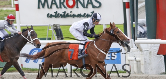 Domingo 13 de agosto de 2017 - Hipódromo Nacional de Maroñas