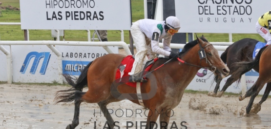 Clásico Roberto Irazoqui