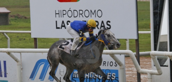 Sábado 19 de agosto de 2017 - Hipódromo Las Piedras