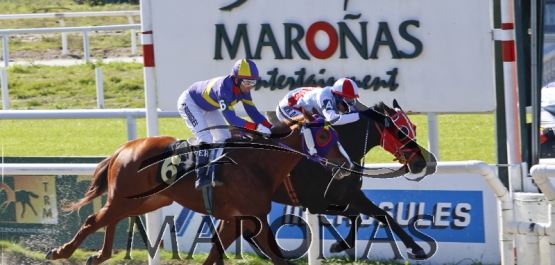 Domingo 20 de agosto de 2017 - Hipódromo Nacional de Maroñas