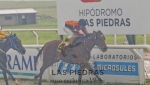 Reunión No. 33