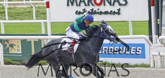 Domingo 27 de agosto de 2017 - Hipódromo Nacional de Maroñas