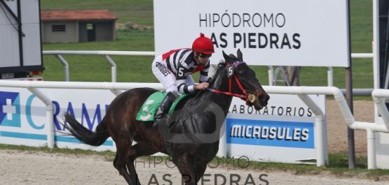 Sábado 2 de setiembre de 2017 - Hipódromo Las Piedras