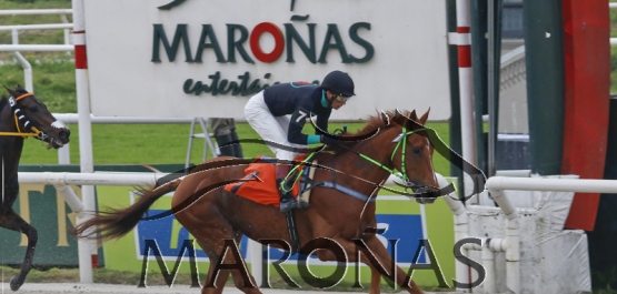 Domingo 3 de setiembre de 2017 - Hipódromo Nacional de Maroñas