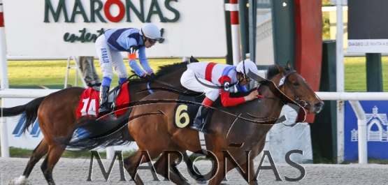 Viernes 15 de setiembre de 2017 - Hipódromo Nacional de Maroñas