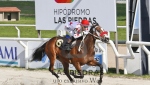PREFERENCIAL "VIBRADO"