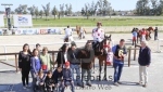PREFERENCIAL "VIBRADO"