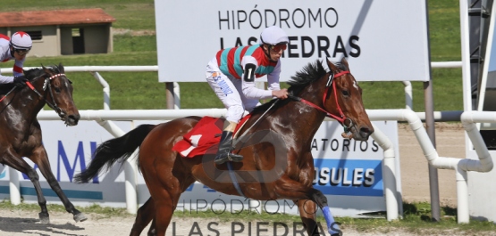 Sábado 16 de setiembre de 2017 - Hipódromo Las Piedras