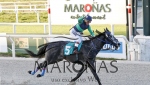 CLÁSICO CRIADORES NACIONALES (URU G3)