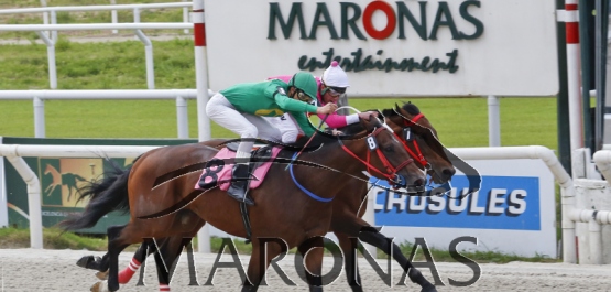 Domingo 17 de setiembre de 2017 - Hipódromo Nacional de Maroñas