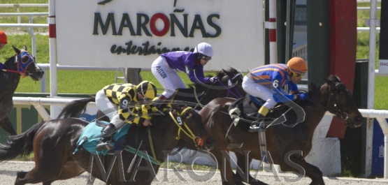 Domingo 24 de setiembre de 2017 - Hipódromo Nacional de Maroñas