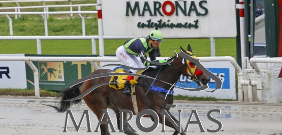 GRAN PREMIO SELECCIÓN (URU G1)