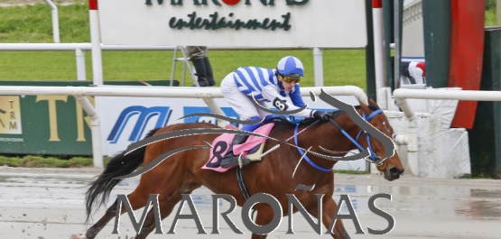 Domingo 1° de octubre de 2017 - Hipódromo Nacional de Maroñas