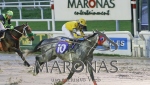 GRAN PREMIO DE HONOR (URU G3)