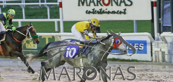 GRAN PREMIO DE HONOR (URU G3)