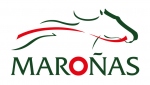 12 Clásicos del Hipódromo Nacional de Maroñas son ascendidos a Tomo 1