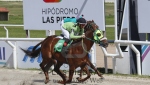 Preferencial "Periodistas de Turf"