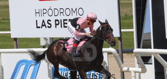 Sábado 7 de octubre de 2017 - Hipódromo Las Piedras