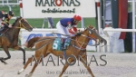 CLÁSICO STUD BOOK URUGUAYO