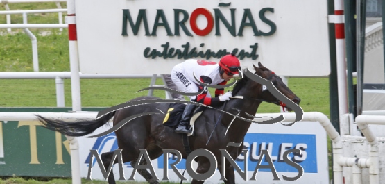 Domingo 8 de octubre de 2017 - Hipódromo Nacional de Maroñas