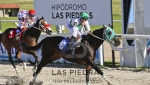 CLÁSICO GRAN PREMIO DE HONOR