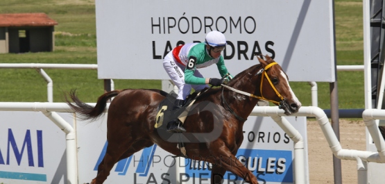 Sábado 14 de octubre de 2017 - Hipódromo Las Piedras