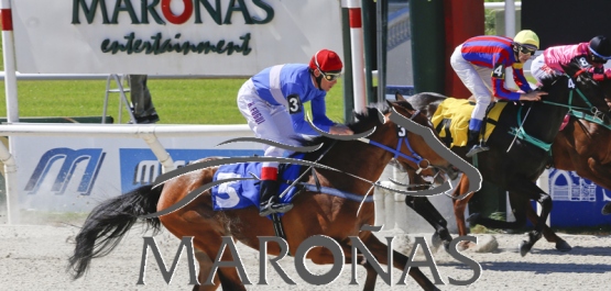 Domingo 15 de octubre de 2017 - Hipódromo Nacional de Maroñas