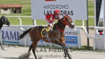 Preferencial "Harvard"
