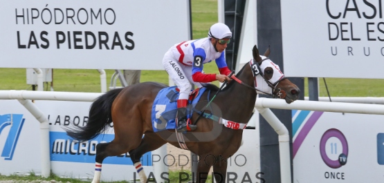 Sábado 21 de octubre de 2017 - Hipódromo Las Piedras