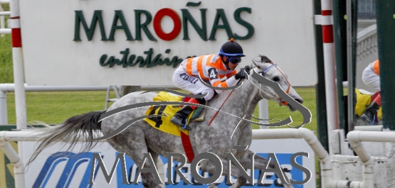 Domingo 22 de octubre de 2017 - Hipódromo Nacional de Maroñas