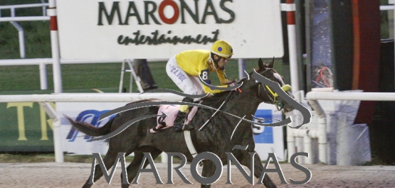 Sábado 28 de octubre de 2017 - Hipódromo Nacional de Maroñas