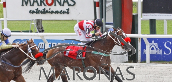 Domingo 29 de octubre de 2017 - Hipódromo Nacional de Maroñas