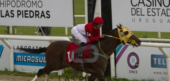 Jueves 2 de noviembre de 2017 - Hipódromo Las Piedras