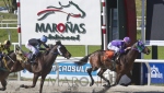 Handicap Especial Miguel y Juan Debernardis