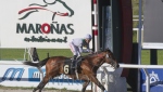 Gran Premio Nacional (URU G1) Copa Caras Uruguay 10 Años