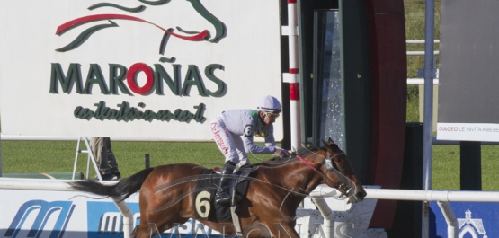 Gran Premio Nacional (URU G1) Copa Caras Uruguay 10 Años