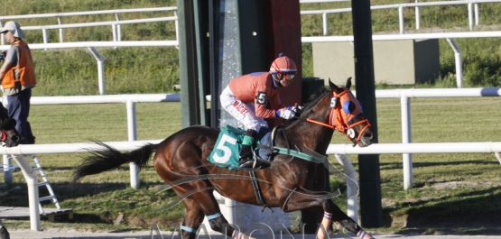 Viernes 10 de noviembre de 2017 - Hipódromo Nacional de Maroñas