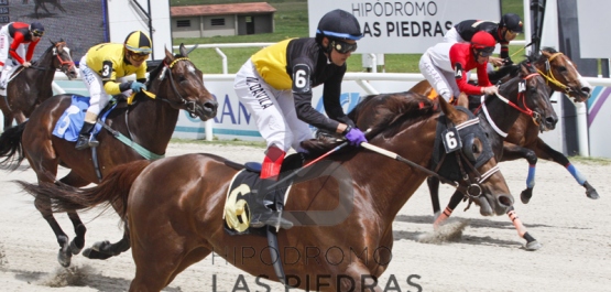 Sábado 11 de noviembre de 2017 - Hipódromo Las Piedras