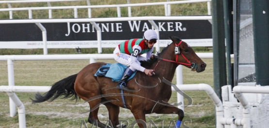 Viernes 24 de noviembre de 2017 - Hipódromo Nacional de Maroñas