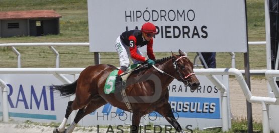 Sábado 25 de noviembre de 2017 - Hipódromo Las Piedras