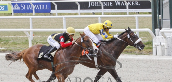 Sábado 2 de diciembre de 2017 - Hipódromo Nacional de Maroñas