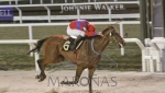 Gran Premio Comparación (URU G2)