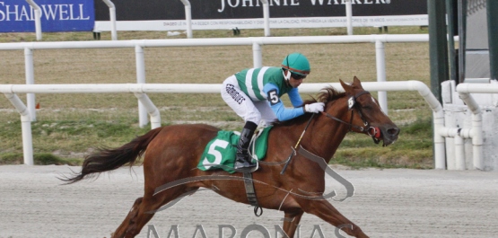 Viernes 8 de diciembre de 2017 - Hipódromo Nacional de Maroñas