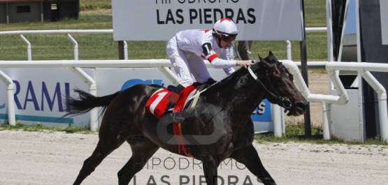 Sábado 9 de diciembre de 2017 - Hipódromo Las Piedras