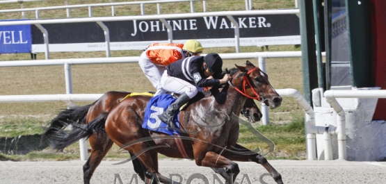 Domingo 10 de diciembre de 2017 - Hipódromo Nacional de Maroñas