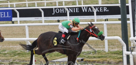 Sábado 16 de diciembre de 2017 - Hipódromo Nacional de Maroñas