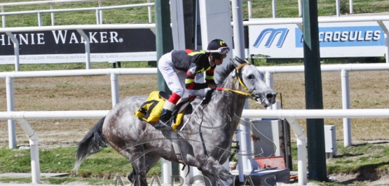 Sábado 30 de diciembre de 2017 - Hipódromo Nacional de Maroñas