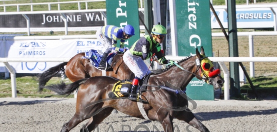 Gran Premio Ciudad de Montevideo