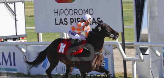 Domingo 7 de enero de 2018 - Hipódromo Las Piedras